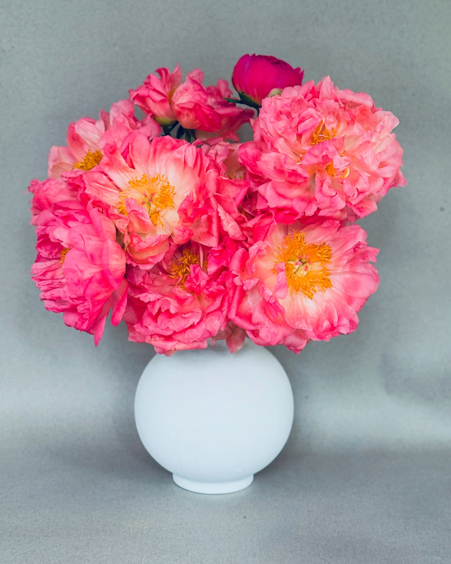 Coral Charm Peony in Ceramic Vase