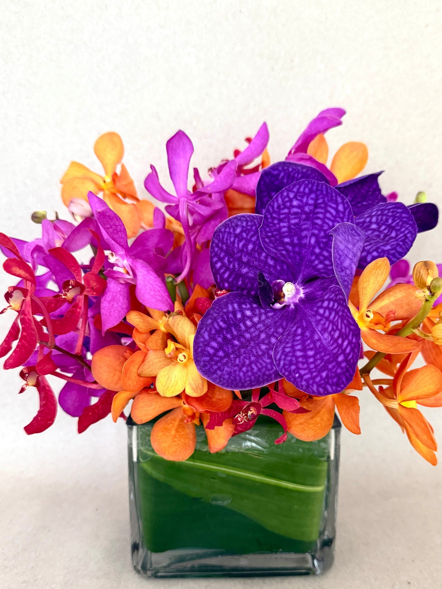 Petite Rainbow Orchid Arrangement