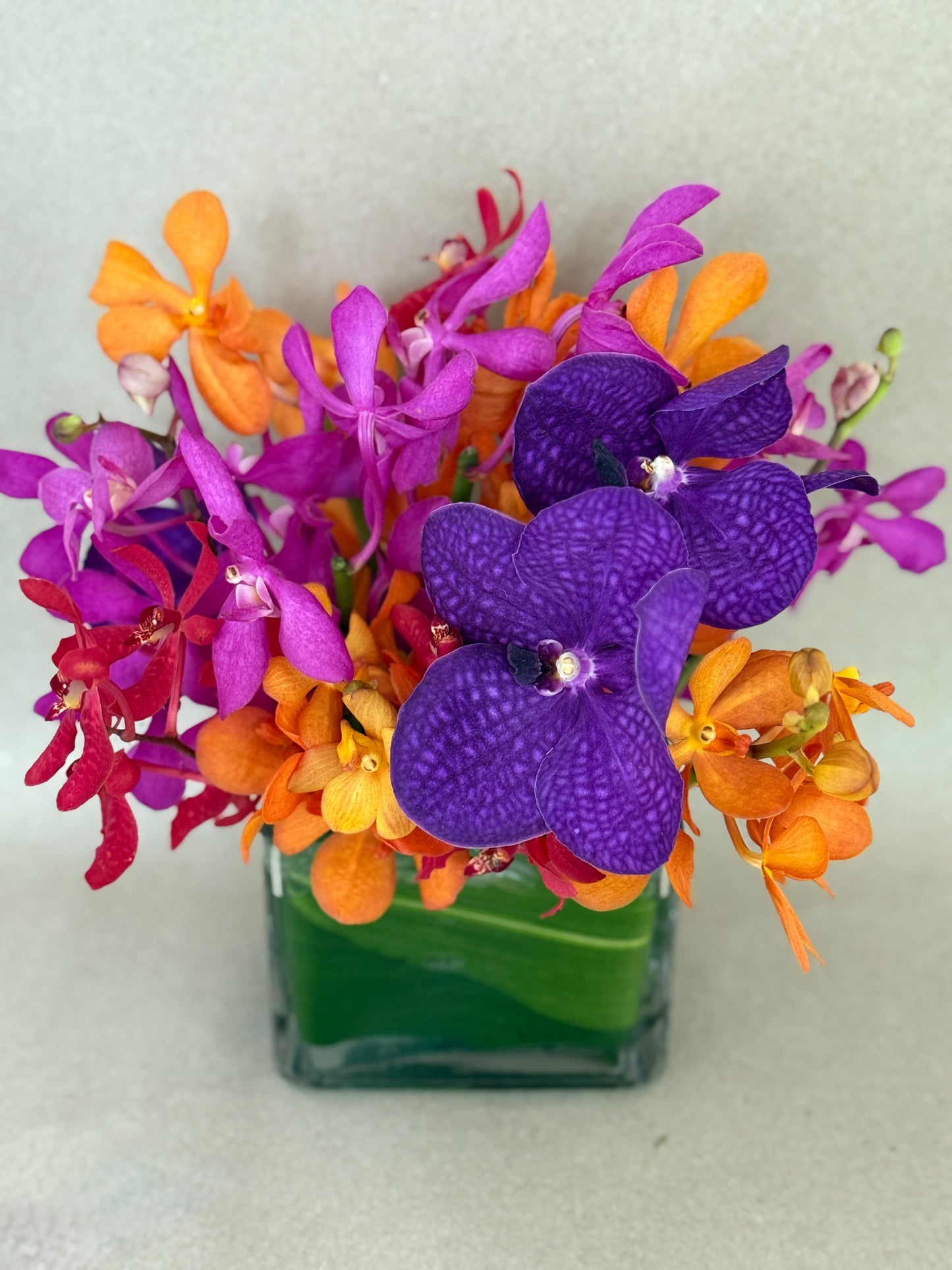 Petite Rainbow Orchid Arrangement