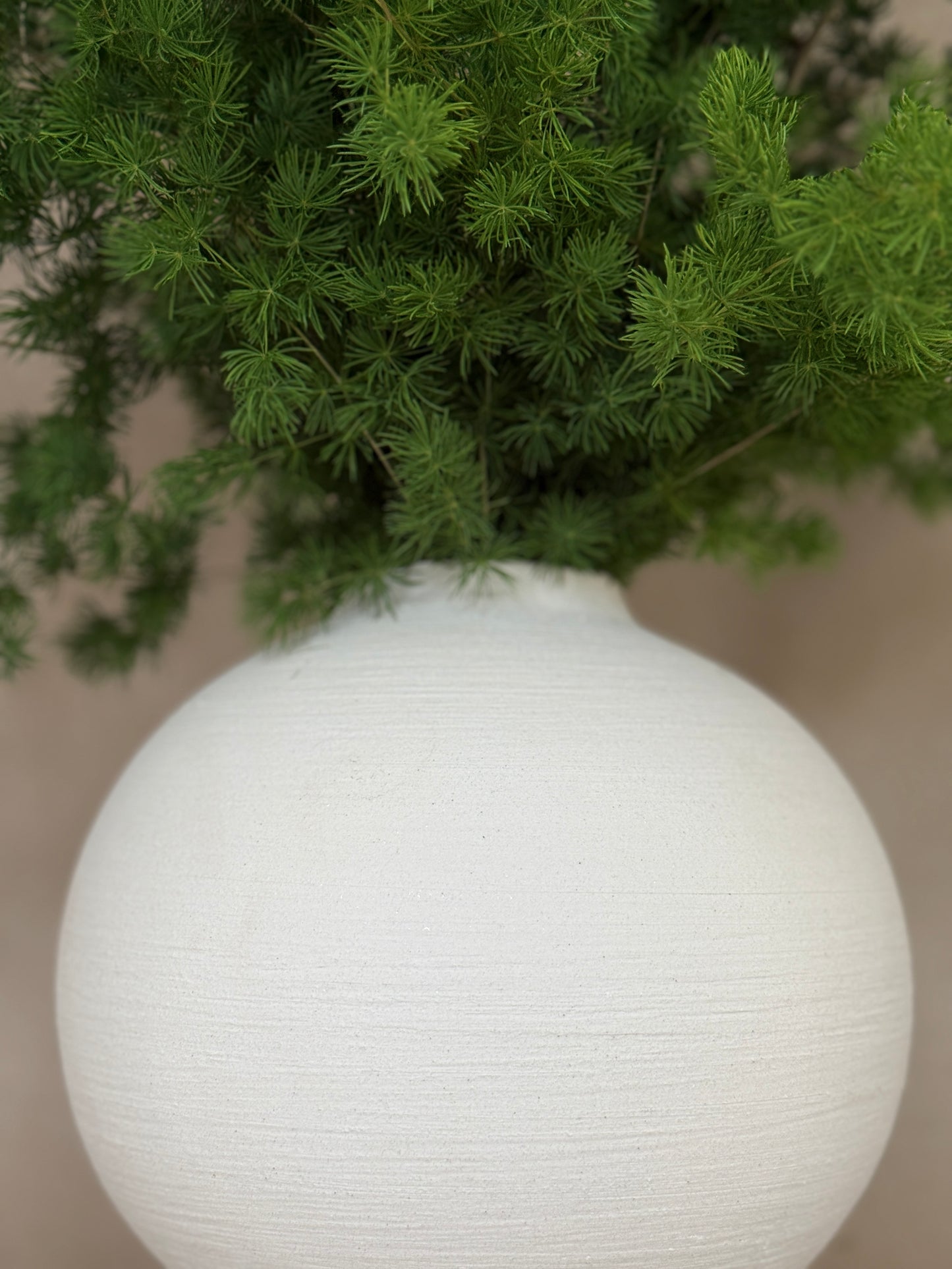 Mink Fern in Ceramic Vase