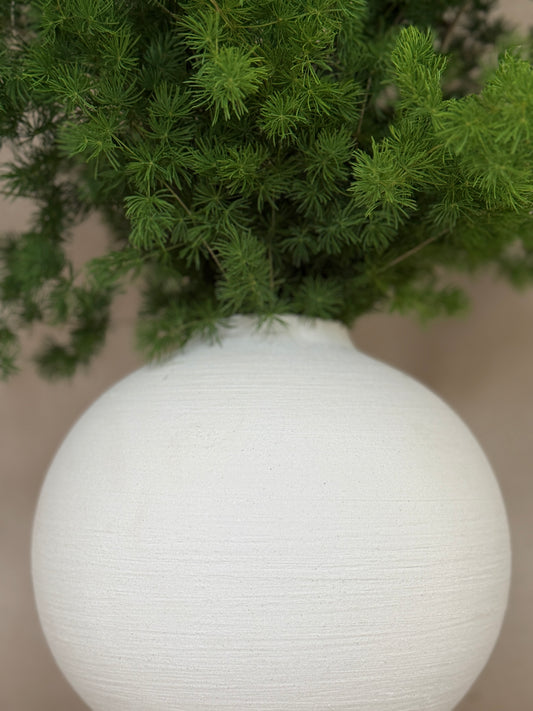 Mink Fern in Ceramic Vase