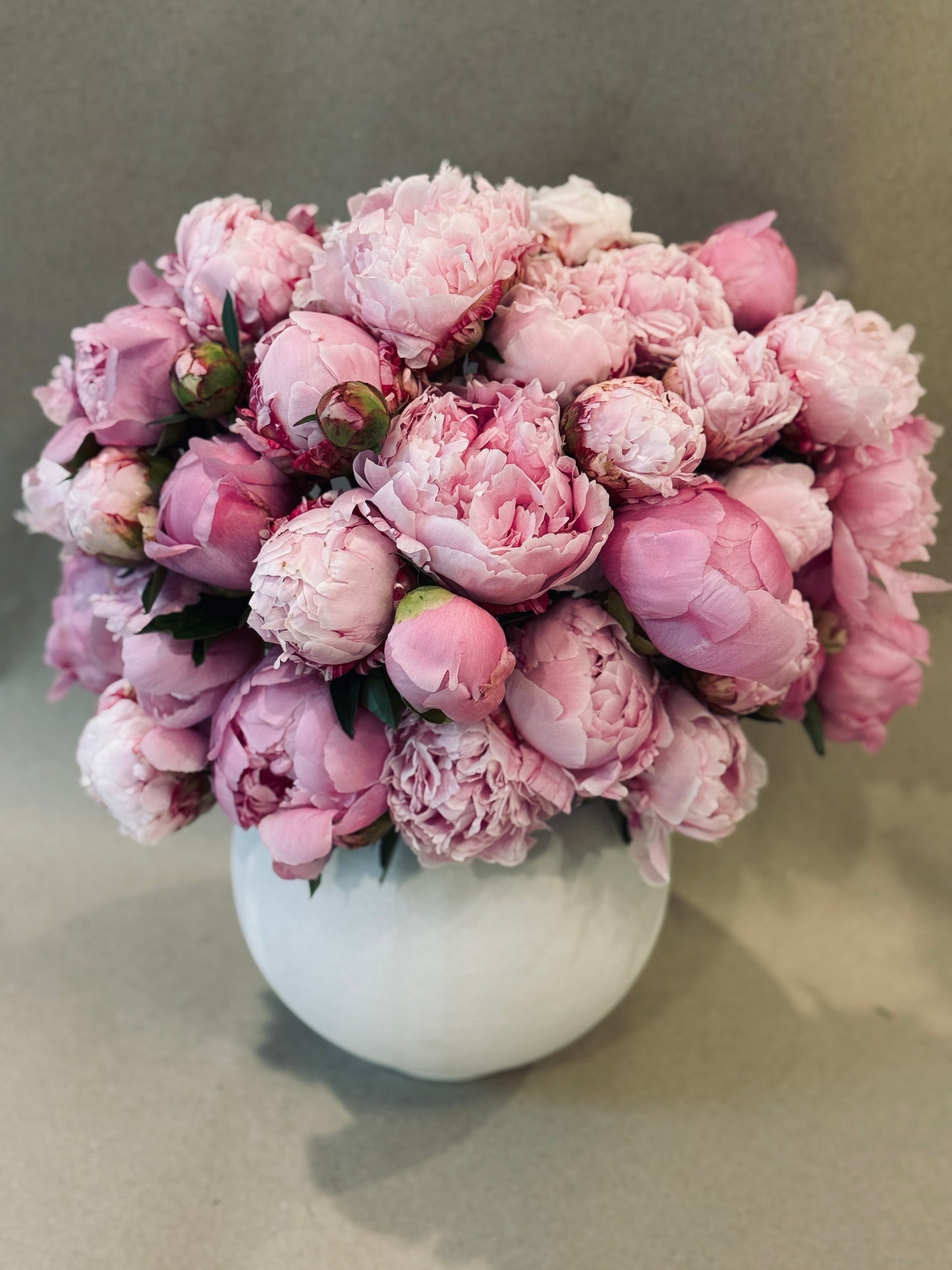 Peonies in Ceramic Vase