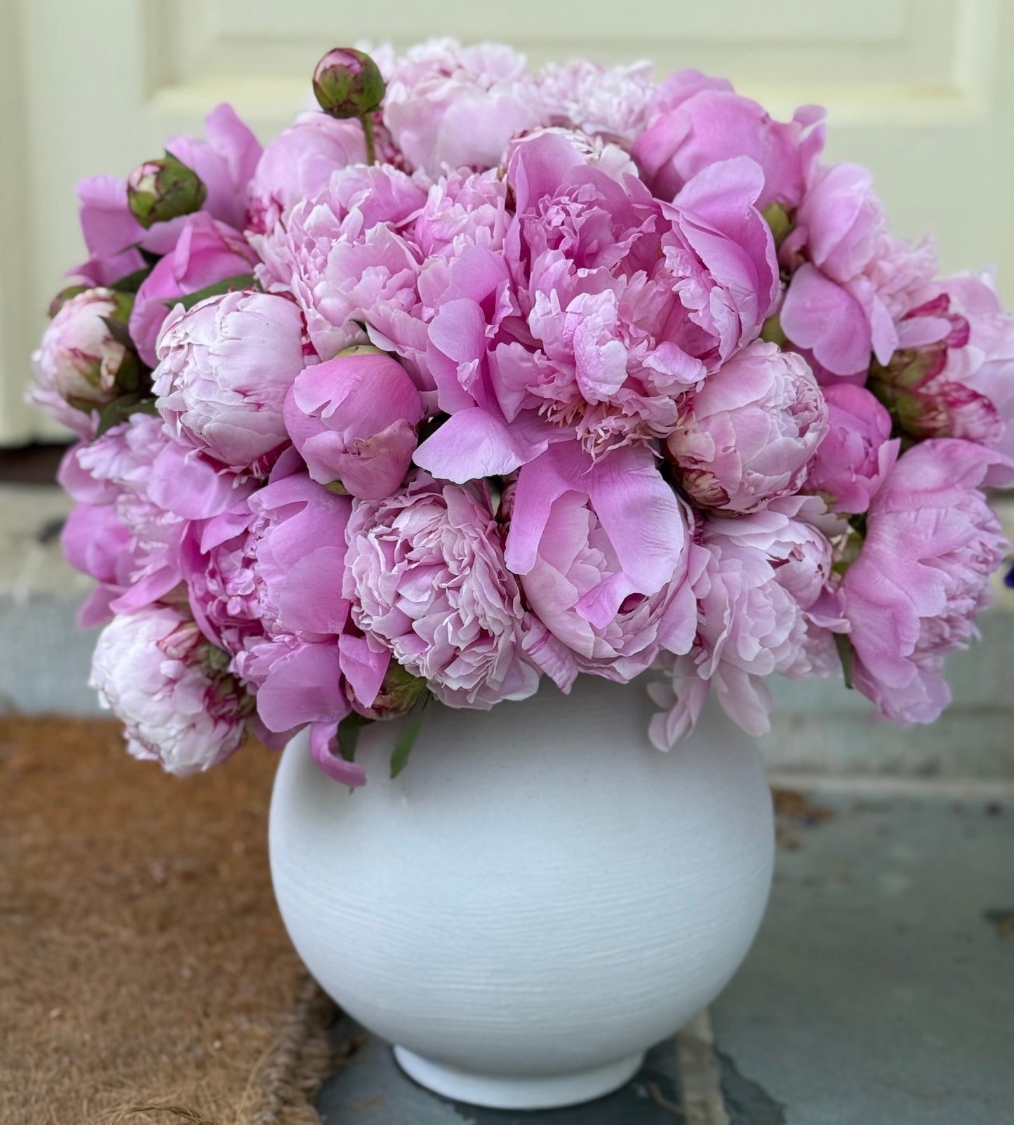 Peonies in Ceramic Vase