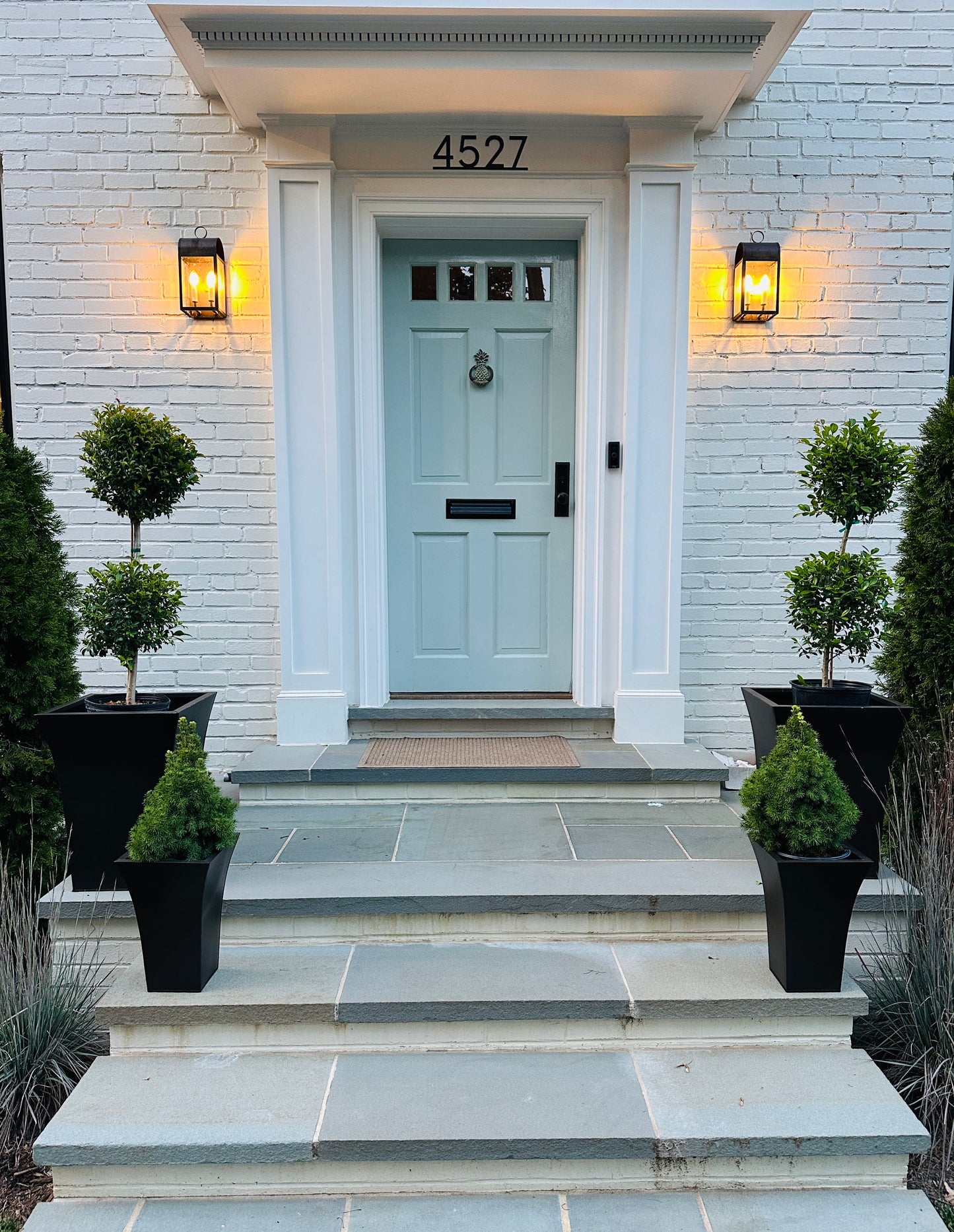 Boxwood Topiary
