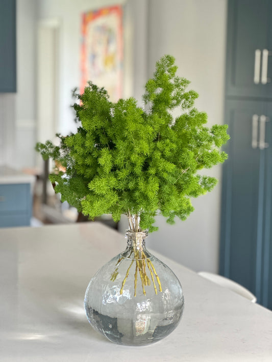 Mink Fern In Vase Gift