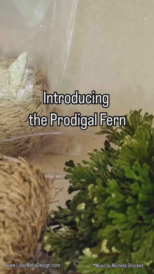 Prodigal Fern with Gold or Clear Tray included